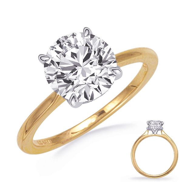 Yellow Gold Engagement Ring Godwin Jewelers, Inc. Bainbridge, GA