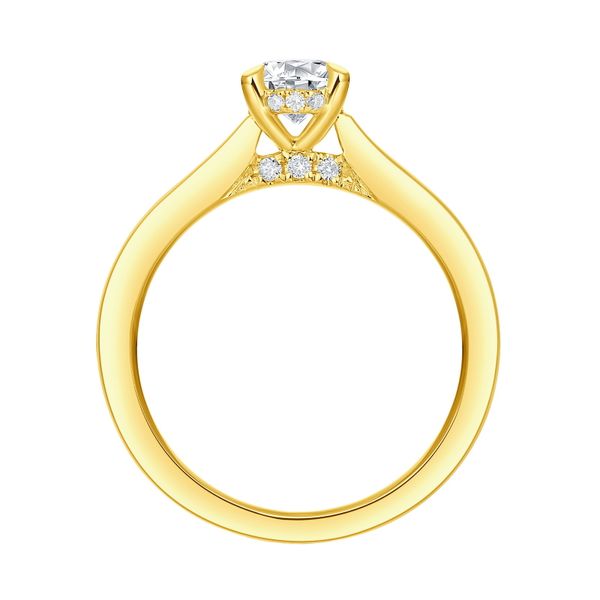 Oval Lab Grown Diamond Solitaire Ribbon Hidden Halo Bridal Ring Image 2 Mystique Jewelers Alexandria, VA