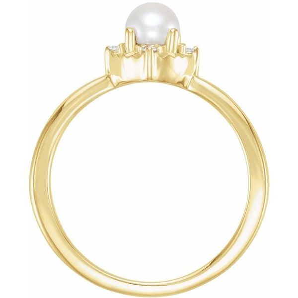 Halo-Style Birthstone Ring Image 2 S&E Jewelers Depew, NY