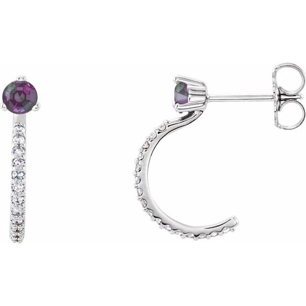 Accented J-Hoop Earrings Don's Jewelry & Design Washington, IA