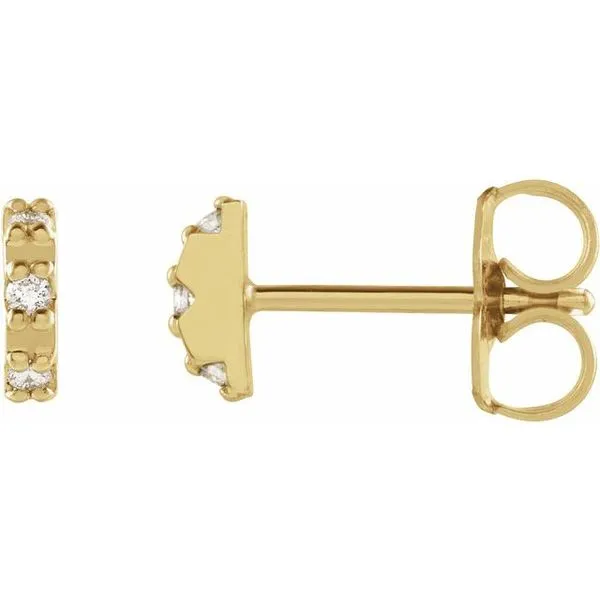 Accented Earrings