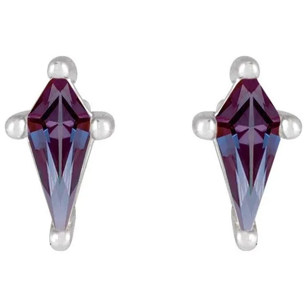 Shield 4-Prong Stud Earrings