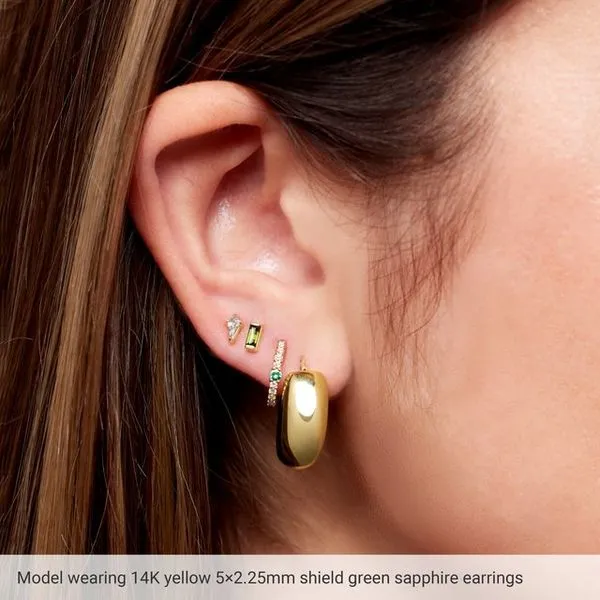 Shield 4-Prong Stud Earrings