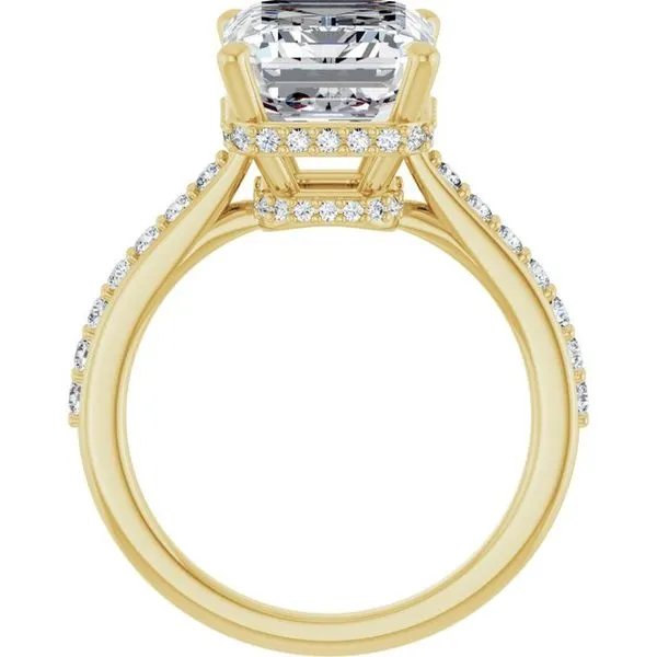 Hidden Halo-Style Engagement Ring Image 2 JF Jones Jewelers Webster, NY