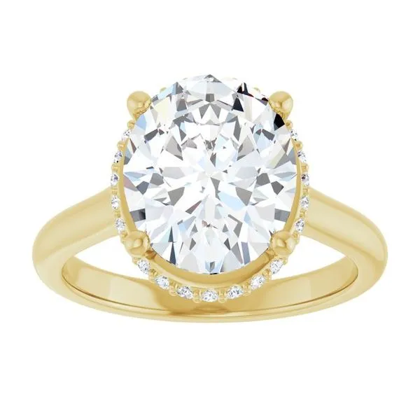 Hidden Halo-Style Engagement Ring Image 3 JF Jones Jewelers Webster, NY