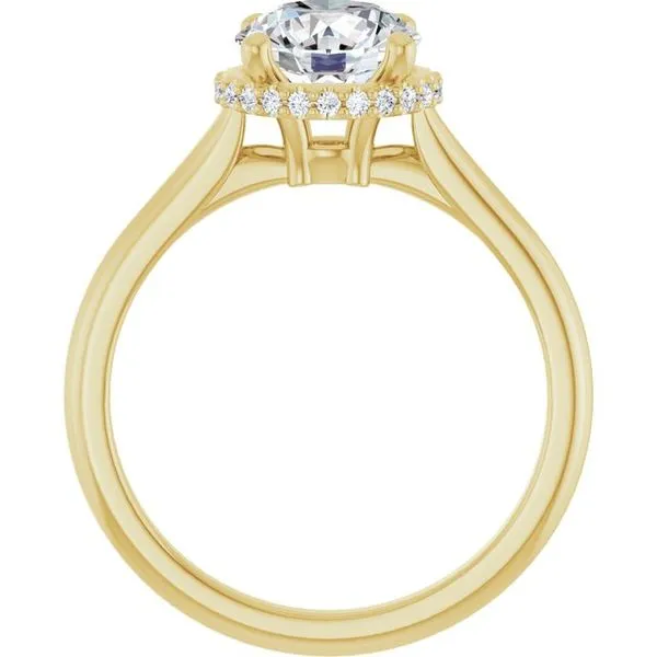 Hidden Halo-Style Engagement Ring Image 2 JF Jones Jewelers Webster, NY