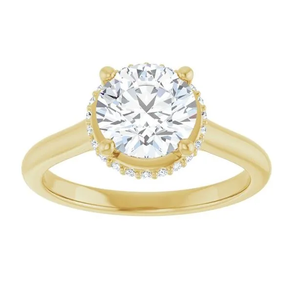 Hidden Halo-Style Engagement Ring Image 3 JF Jones Jewelers Webster, NY