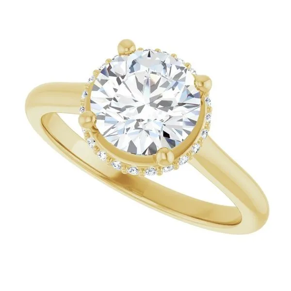 Hidden Halo-Style Engagement Ring Image 5 JF Jones Jewelers Webster, NY