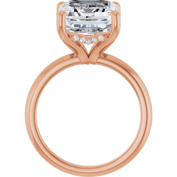 Hidden Halo-Style Engagement Ring Image 2 JF Jones Jewelers Webster, NY