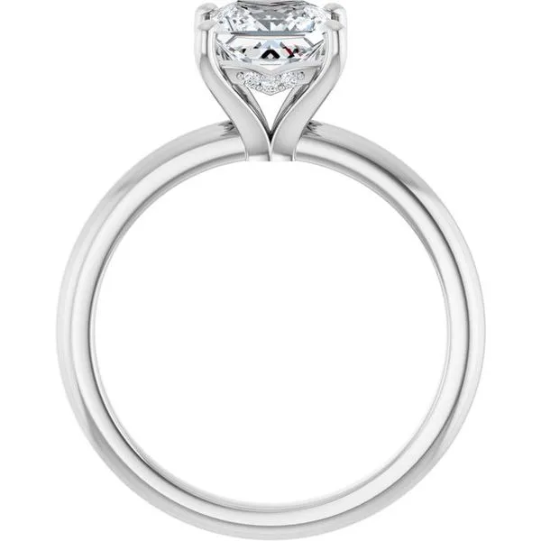 Hidden Halo-Style Engagement Ring Image 2 JF Jones Jewelers Webster, NY