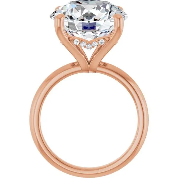 Hidden Halo-Style Engagement Ring Image 2 JF Jones Jewelers Webster, NY