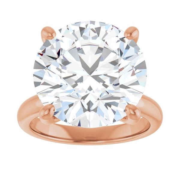 Hidden Halo-Style Engagement Ring Image 3 JF Jones Jewelers Webster, NY