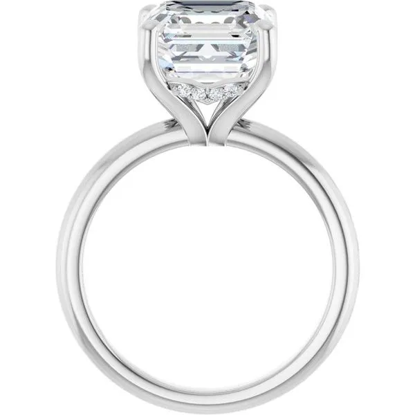 Hidden Halo-Style Engagement Ring Image 2 JF Jones Jewelers Webster, NY