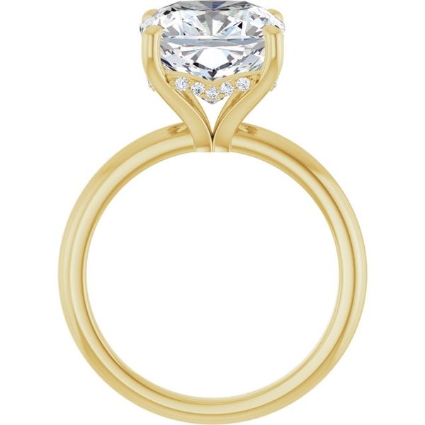 Hidden Halo-Style Engagement Ring Image 2 JF Jones Jewelers Webster, NY