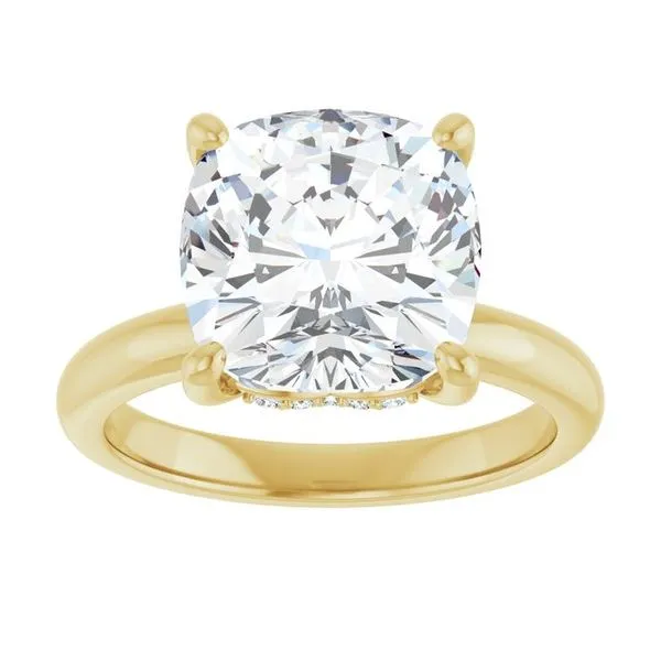 Hidden Halo-Style Engagement Ring Image 3 JF Jones Jewelers Webster, NY