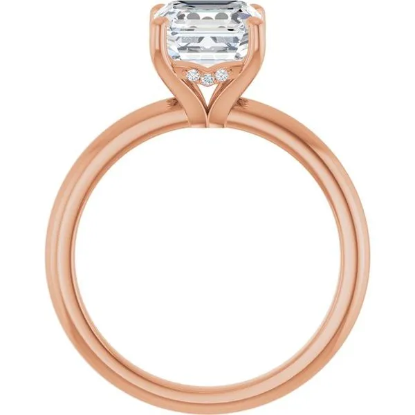 Hidden Halo-Style Engagement Ring Image 2 JF Jones Jewelers Webster, NY