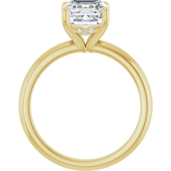 Hidden Halo-Style Engagement Ring Image 2 JF Jones Jewelers Webster, NY