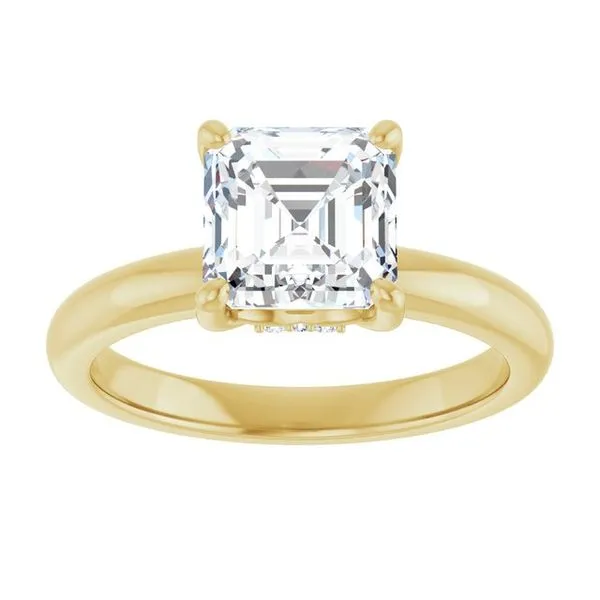Hidden Halo-Style Engagement Ring Image 3 JF Jones Jewelers Webster, NY