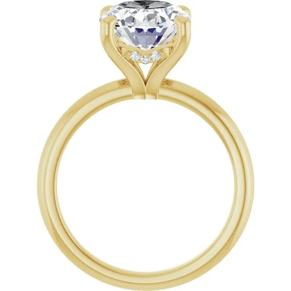 Hidden Halo-Style Engagement Ring Image 2 JF Jones Jewelers Webster, NY