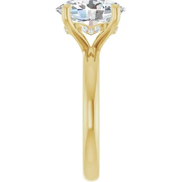 Hidden Halo-Style Engagement Ring Image 4 JF Jones Jewelers Webster, NY