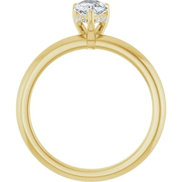 Hidden Halo-Style Engagement Ring Image 2 JF Jones Jewelers Webster, NY