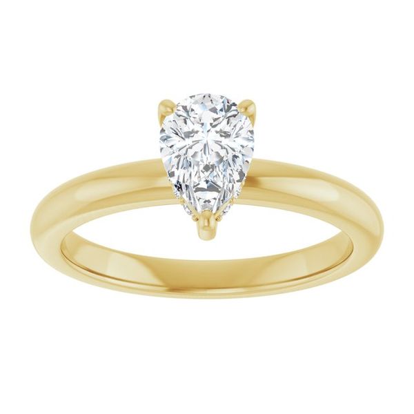 Hidden Halo-Style Engagement Ring Image 3 JF Jones Jewelers Webster, NY
