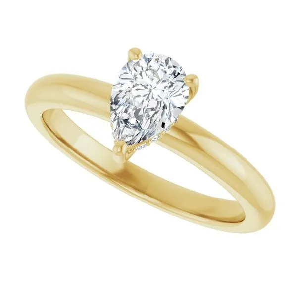 Hidden Halo-Style Engagement Ring Image 5 JF Jones Jewelers Webster, NY