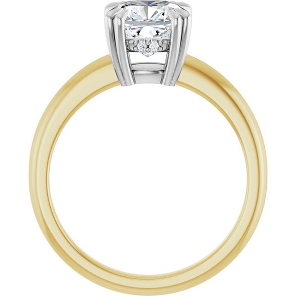 Double Claw-Prong Engagement Ring Image 2 Blocher Jewelers Ellwood City, PA