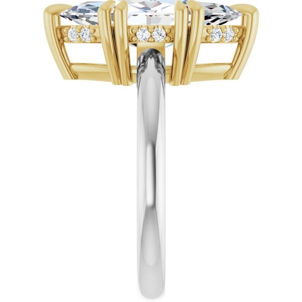 Double Claw-Prong Engagement Ring Image 4 Leitzel's Jewelry Myerstown, PA