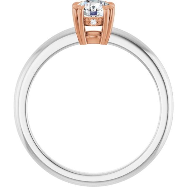 Double Claw-Prong Engagement Ring Image 2 Blue Water Jewelers Saint Augustine, FL