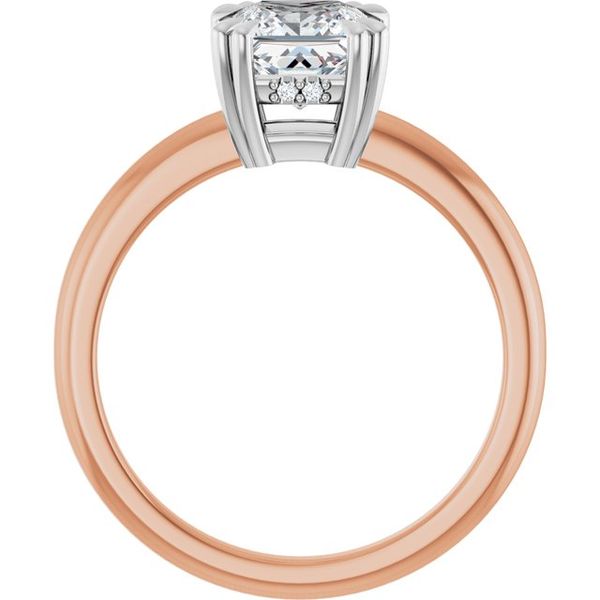 Double Claw-Prong Engagement Ring Image 2 Leitzel's Jewelry Myerstown, PA
