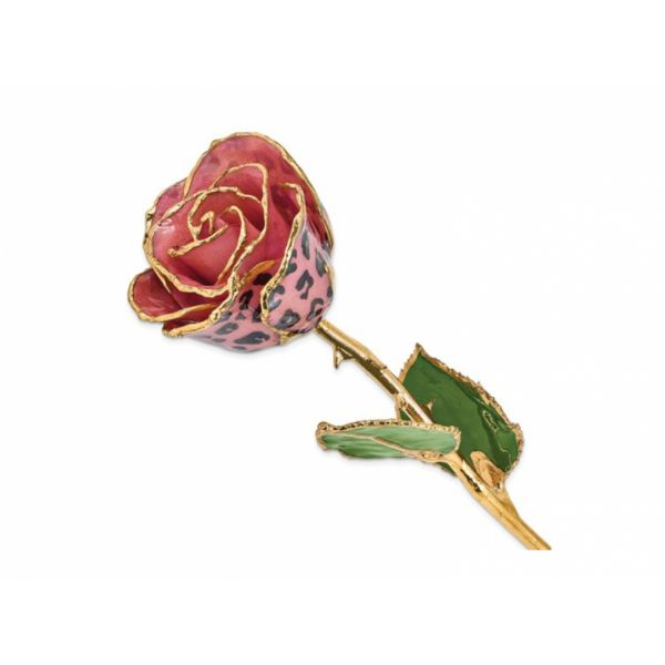 Women's Dipped Rose Earrings