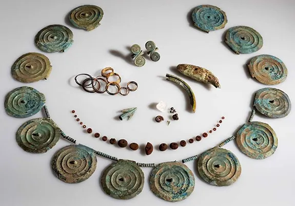 Read article: Metal Detectorist Finds 3,500-Year-Old Fashion Statement in Swiss Carrot Field