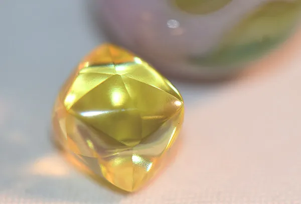 Read article: 'Leave It to Grow': Friends Unearth 6-Carat Canary Diamond at Arkansas Park