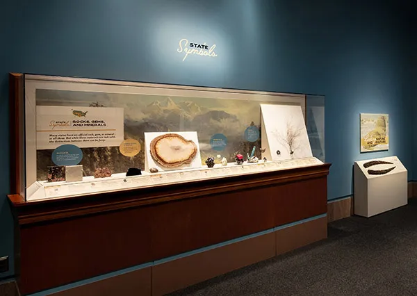 Read article: Smithsonian's New Exhibit Celebrates America's Gems, Gold and Fossils