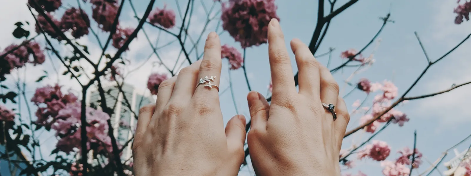About Us  Arlenes Fine Jewelry Vidalia, GA