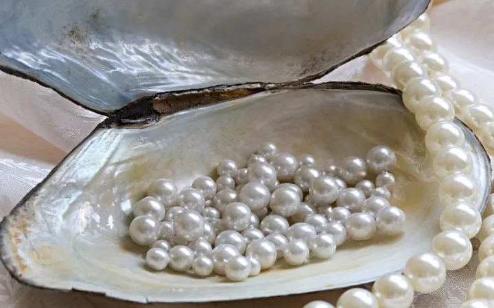 What are Pearls and where do they come from?, Pearls of Wisdom