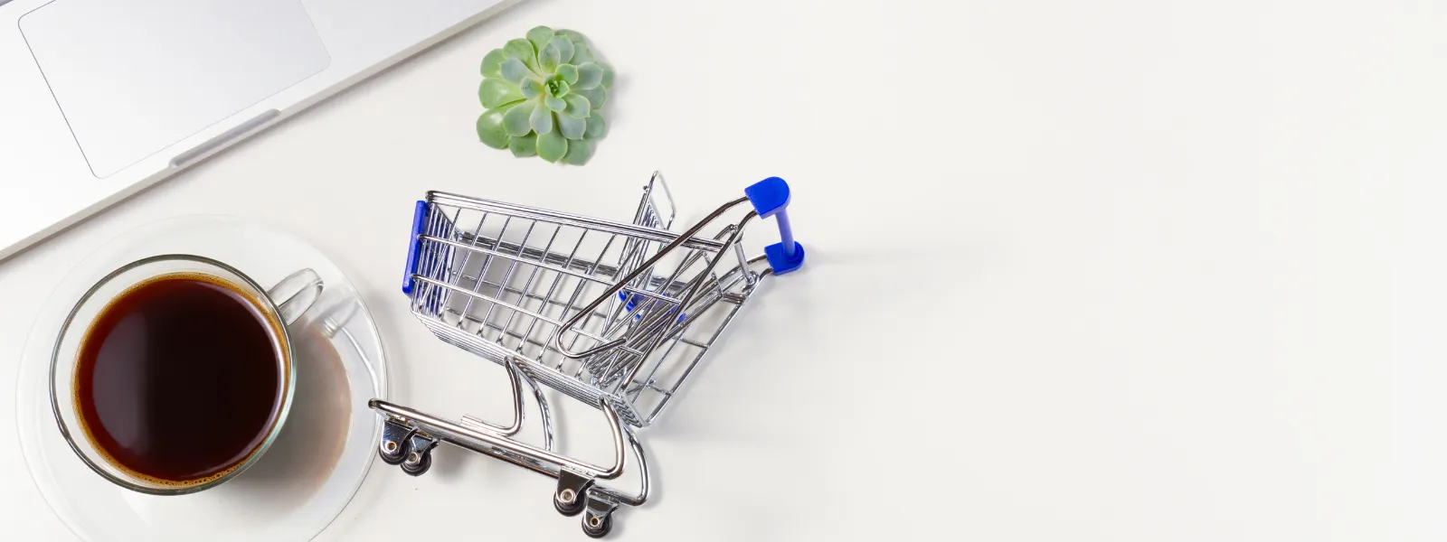 Want to Shop our Site? That