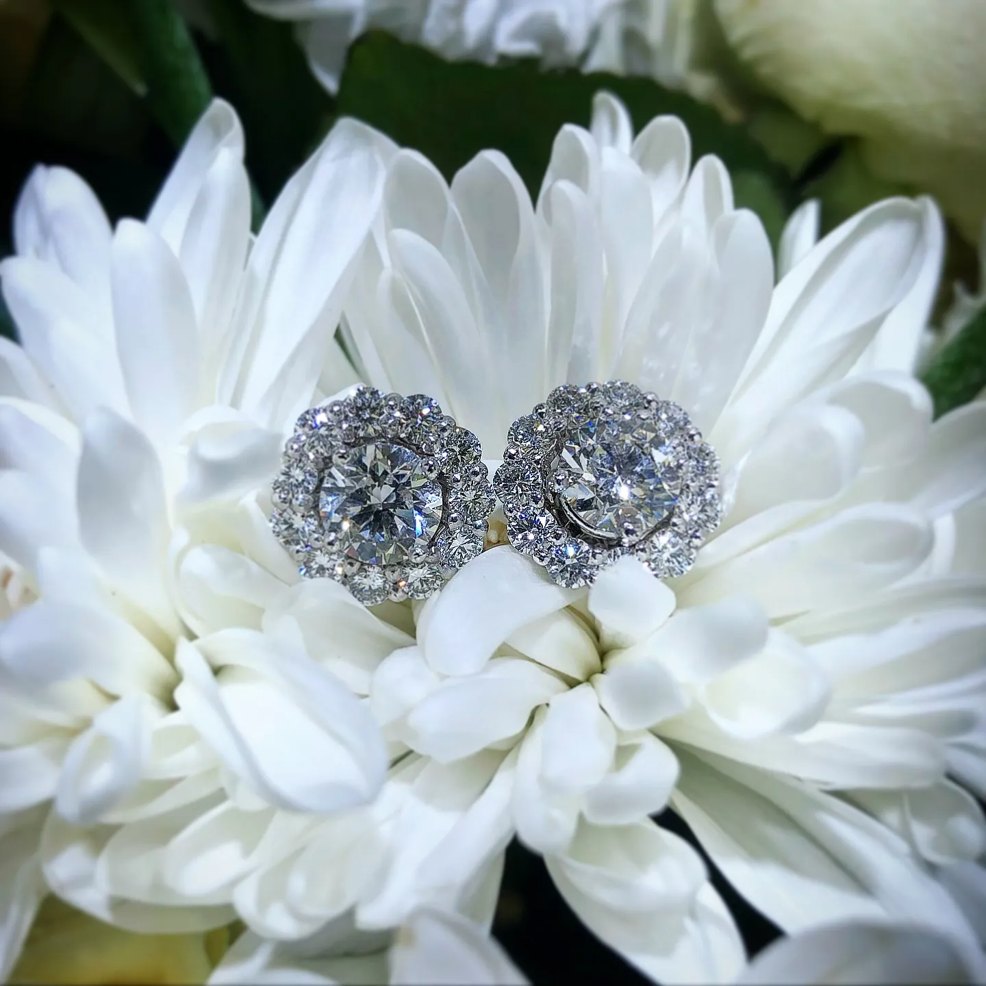 Category Name  Bashinski Fine Gems & Jewelry, Inc Macon, GA