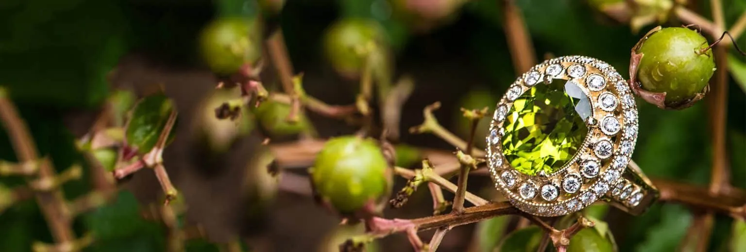 Bashinski Fine Gems & Jewelry, Inc Macon, GA