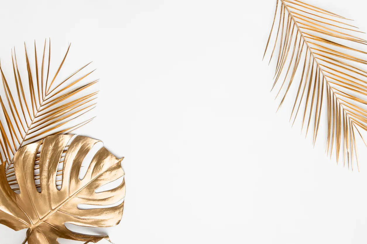 Gold palm fran