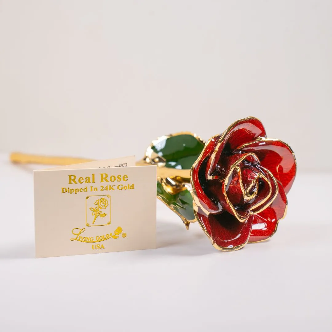 Bay Area Diamond Company Green Bay, WI