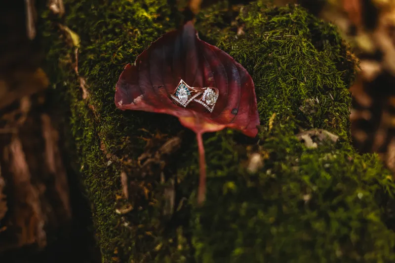Read article: 'Hers + Hers' Engagement Rings