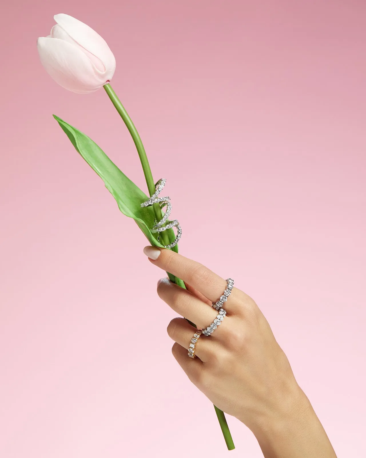 Your Widget Header Text Goes Here Lorem ipsum dolor sit amet consectetur adipiscing elit. Becky Beauchine Kulka Diamonds and Fin