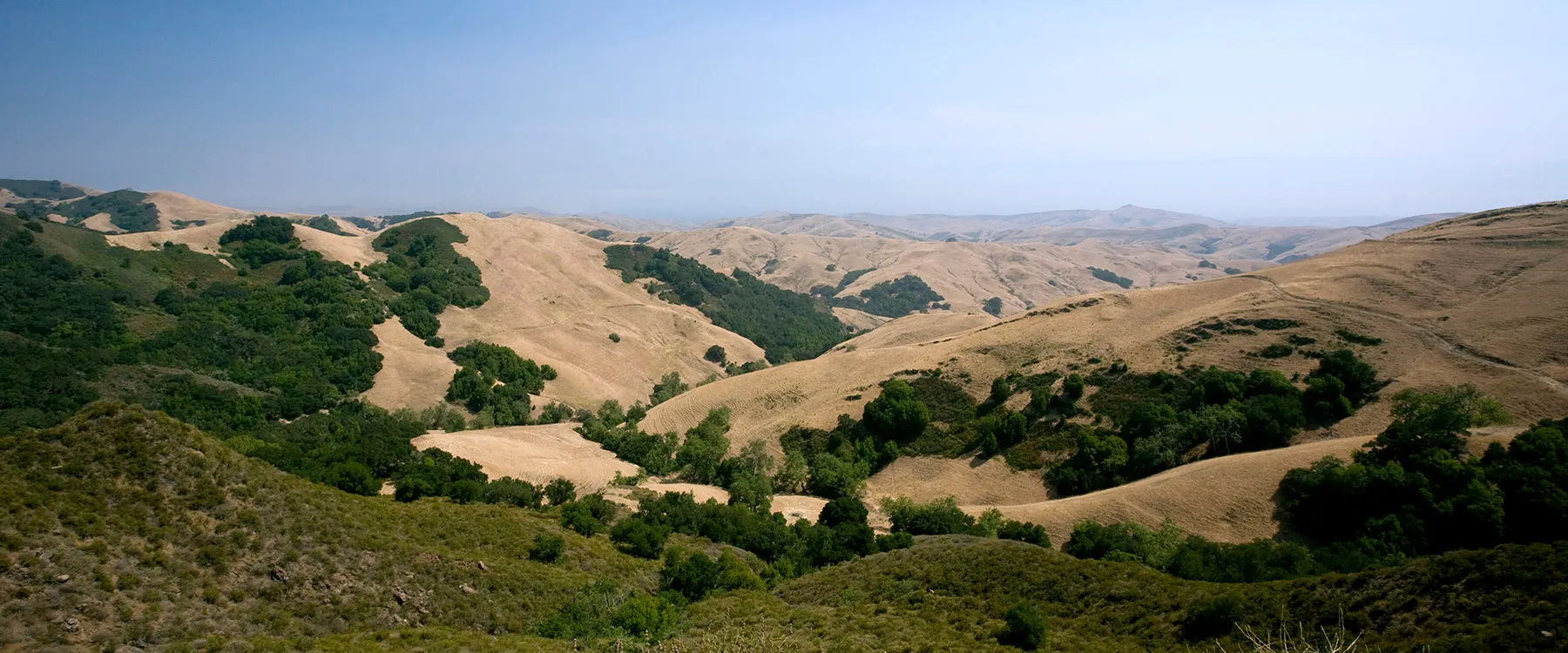 About Us Embark on a journey of discovery as you delve into the captivating world of our jewelry store, where every piece tells a story of craftsmanship, heritage, and enduring elegance. Bella Jule Fine Jewelry Paso Robles, CA