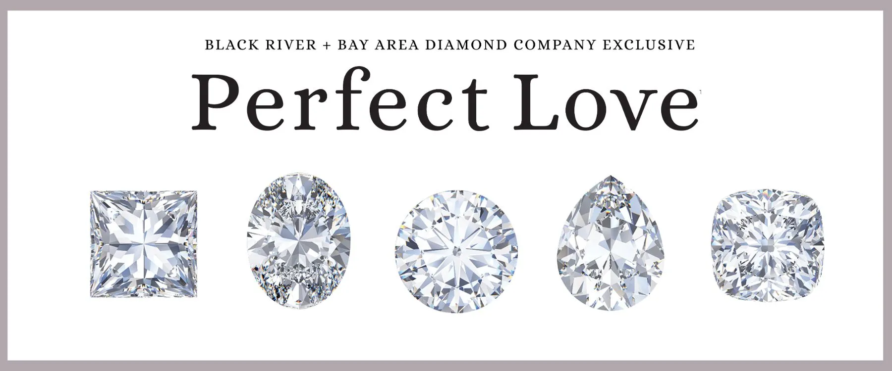 Your Widget Header Text Goes Here Lorem ipsum dolor sit amet consectetur adipiscing elit. Bay Area Diamond Company Green Bay, WI