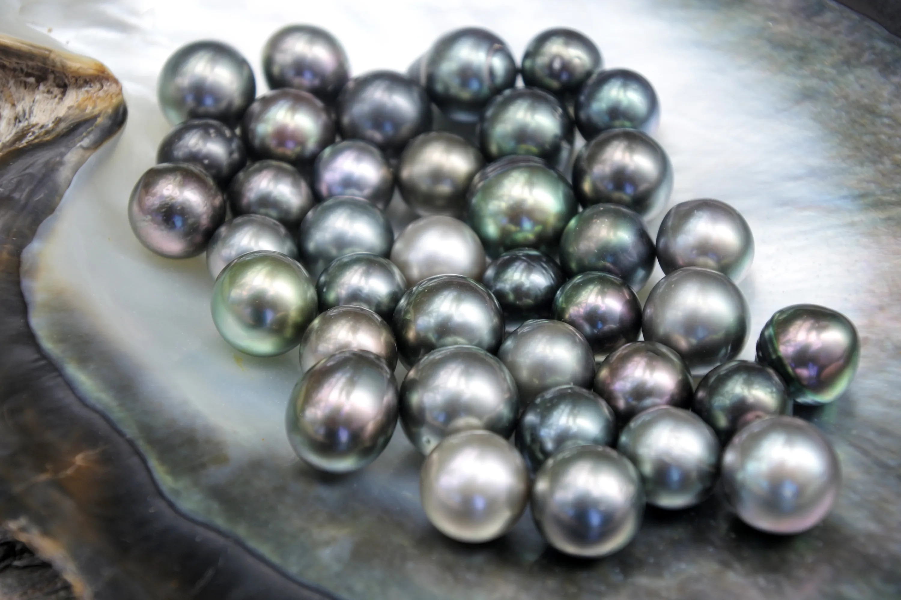 Pearls are the birthstone for June We have a wide selection of Pearl jewelry that would make the perfect birthday gift! Blue Marlin Jewelry, Inc. Islamorada, FL