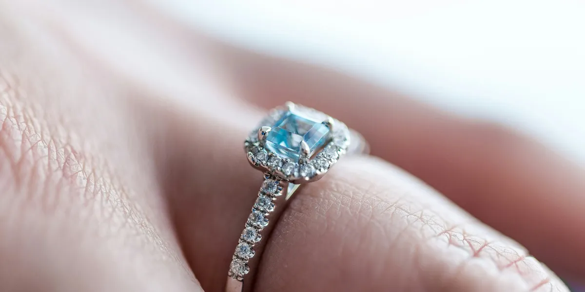 What you missed in February/What's coming in March 2024