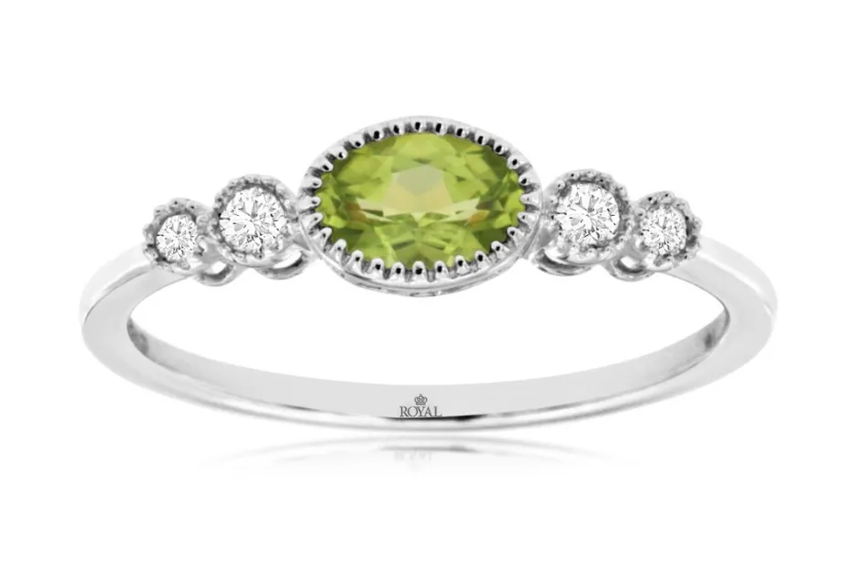 Monthly Catch-up & Upcoming Events! - July/August 2024