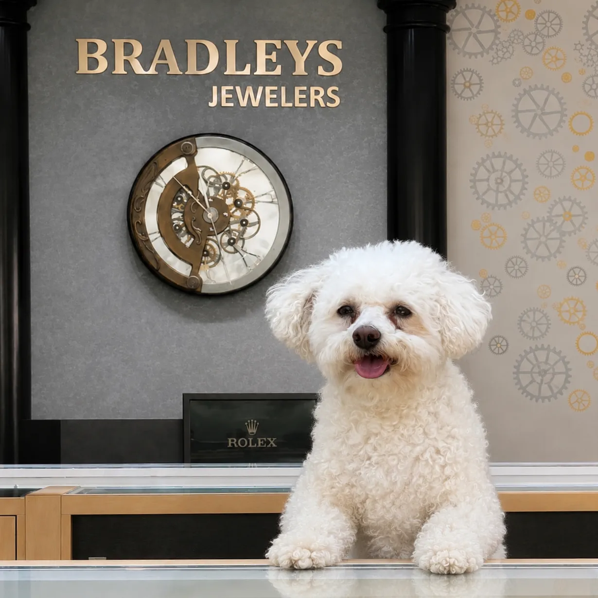 Holly V.P. In Charge Of Snuggles Bradleys Jewelers Jacksonville, NC